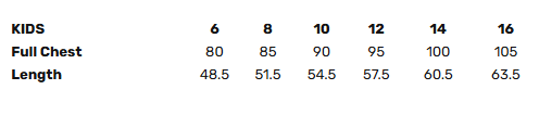 2026 Zone 16 Pony Club Camp Hoodie Zip - Kids