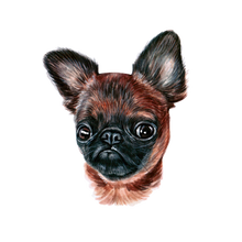 Load image into Gallery viewer, Dog Breed Mug