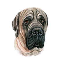 Load image into Gallery viewer, Dog Breed Mug