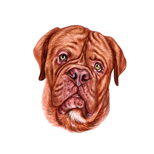 Load image into Gallery viewer, Dog Breed Mug