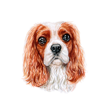 Load image into Gallery viewer, Dog Breed Mug