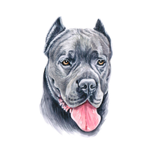 Load image into Gallery viewer, Dog Breed Mug