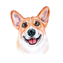Load image into Gallery viewer, Dog Breed Mug