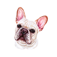Load image into Gallery viewer, Dog Breed Mug