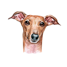 Load image into Gallery viewer, Dog Breed Mug