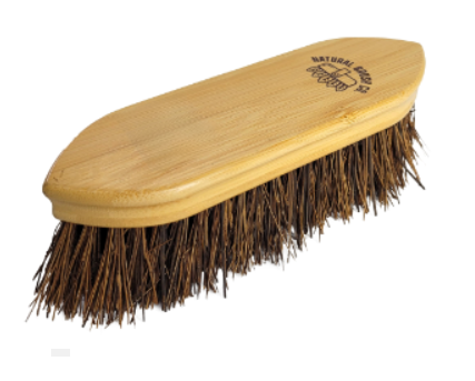 Zilco -Dandy Brush Indian Palm