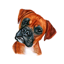 Load image into Gallery viewer, Dog Breed Mug
