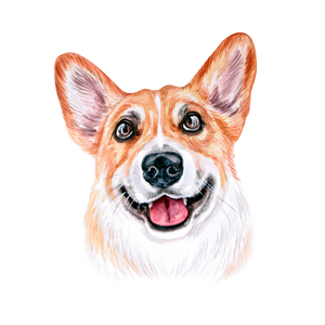 Dog Breed Mug